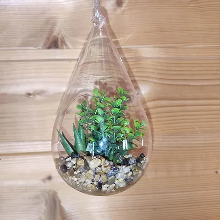 Le Repos Des Jumeaux 木屋 *