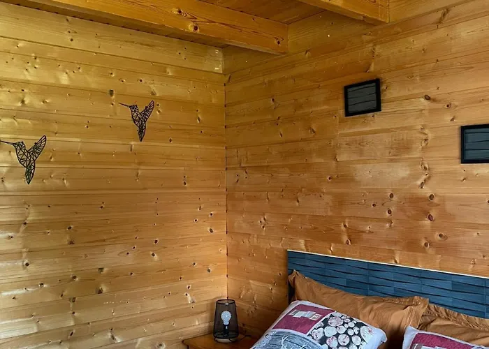 Le Repos Des Jumeaux *