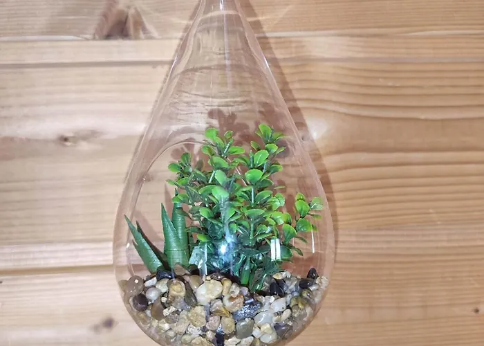 Le Repos Des Jumeaux Σαλέ *