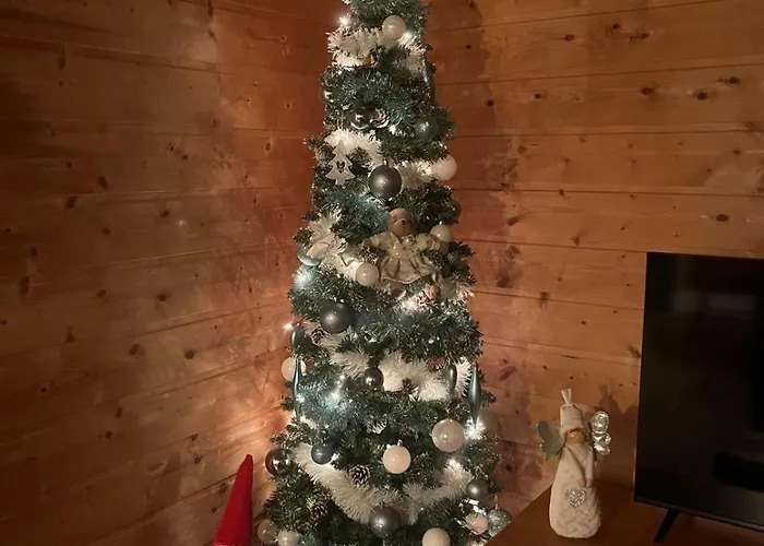 Le Repos Des Jumeaux *